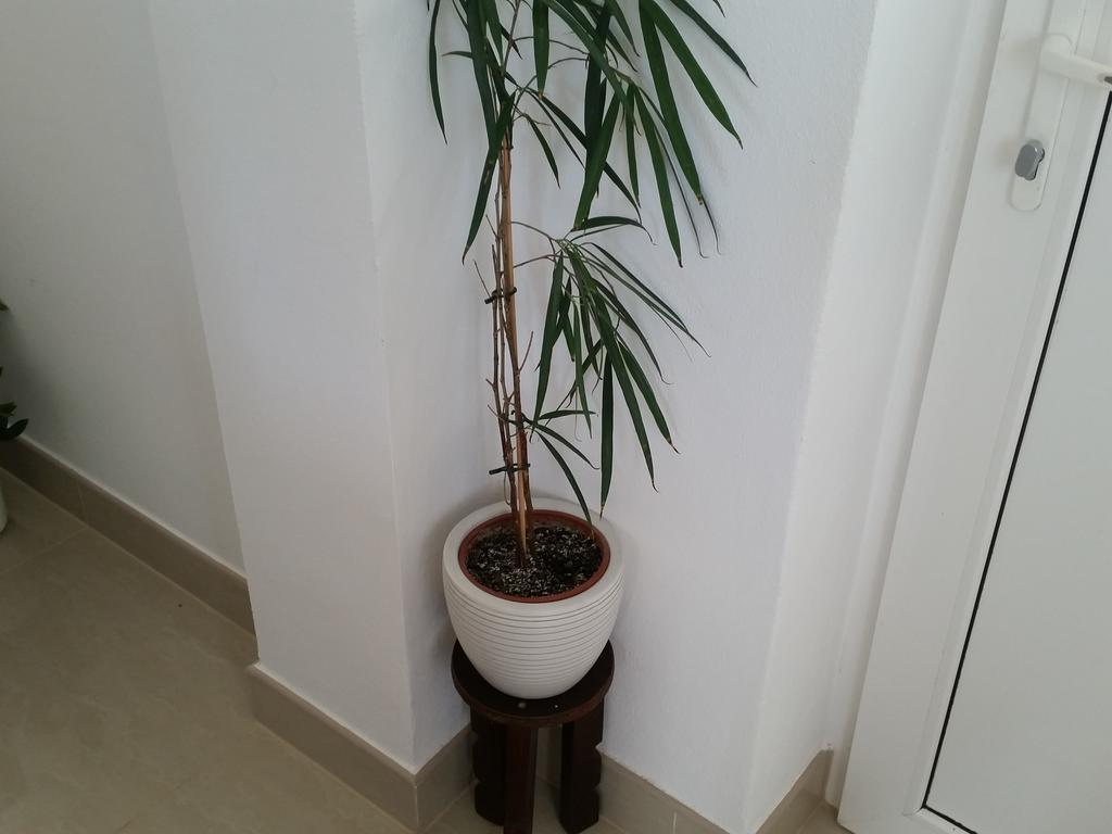 Apartment Summer Night Dream Zadar Luaran gambar